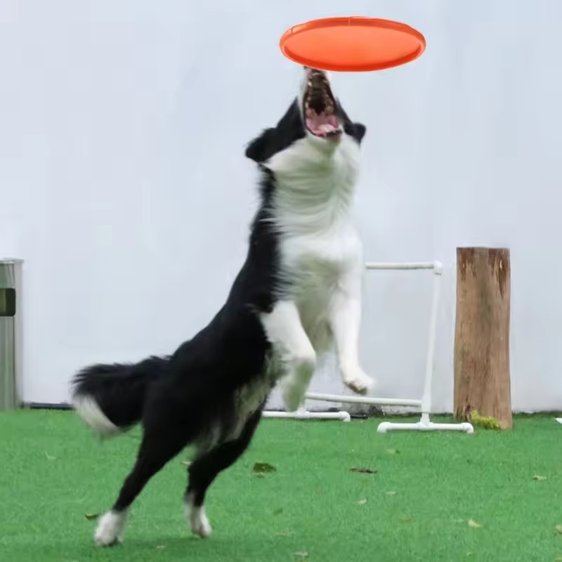 Mainan Piring Terbang Silikon  - Flying Disc Dog Training Toy ulasan dan harga