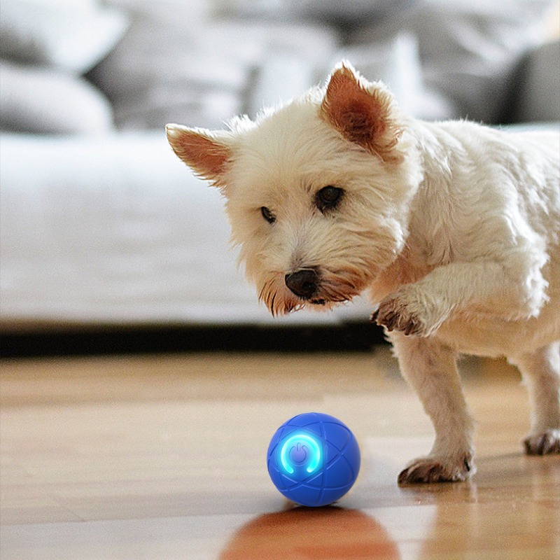 Bola mainan anjing pintar USB  - Automatic Moving Dog Ball ulasan dan harga