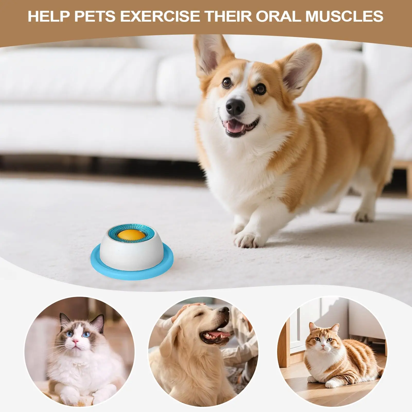 Aksesori Pemberian Makan Hewan - Dog Puzzle Feeder Toy ulasan dan harga